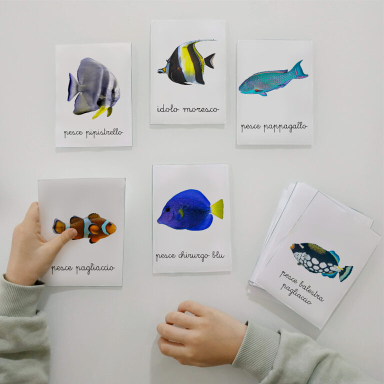 Carte delle nomenclature Montessori sui pesci