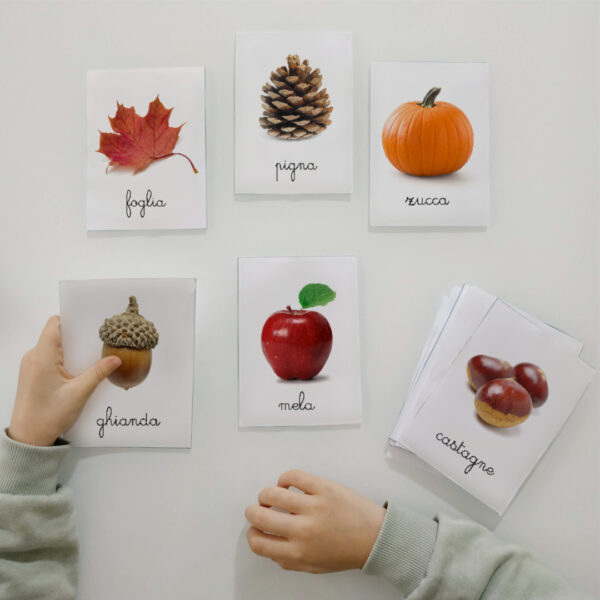 carte delle nomenclature Montessori sull'autunno