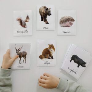 nomenclature Montessori sugli animali del bosco