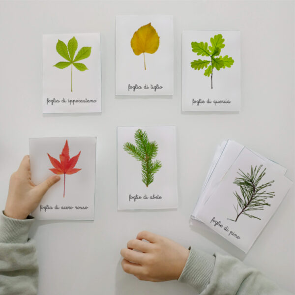 Carte delle nomenclature Montessori sulle foglie
