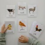 Montessori sugli animali della fattoria